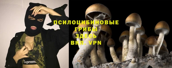 мдпв Тутаев