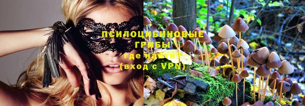 мдпв Тутаев