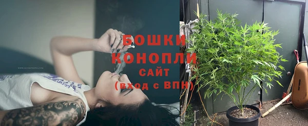 прущий лед Туринск