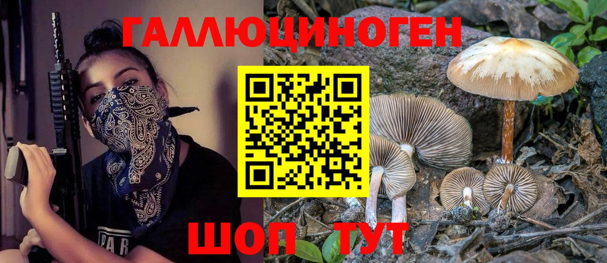 Галлюциногенные грибы Psilocybine cubensis  Вход с VPN  Нефтекамск 